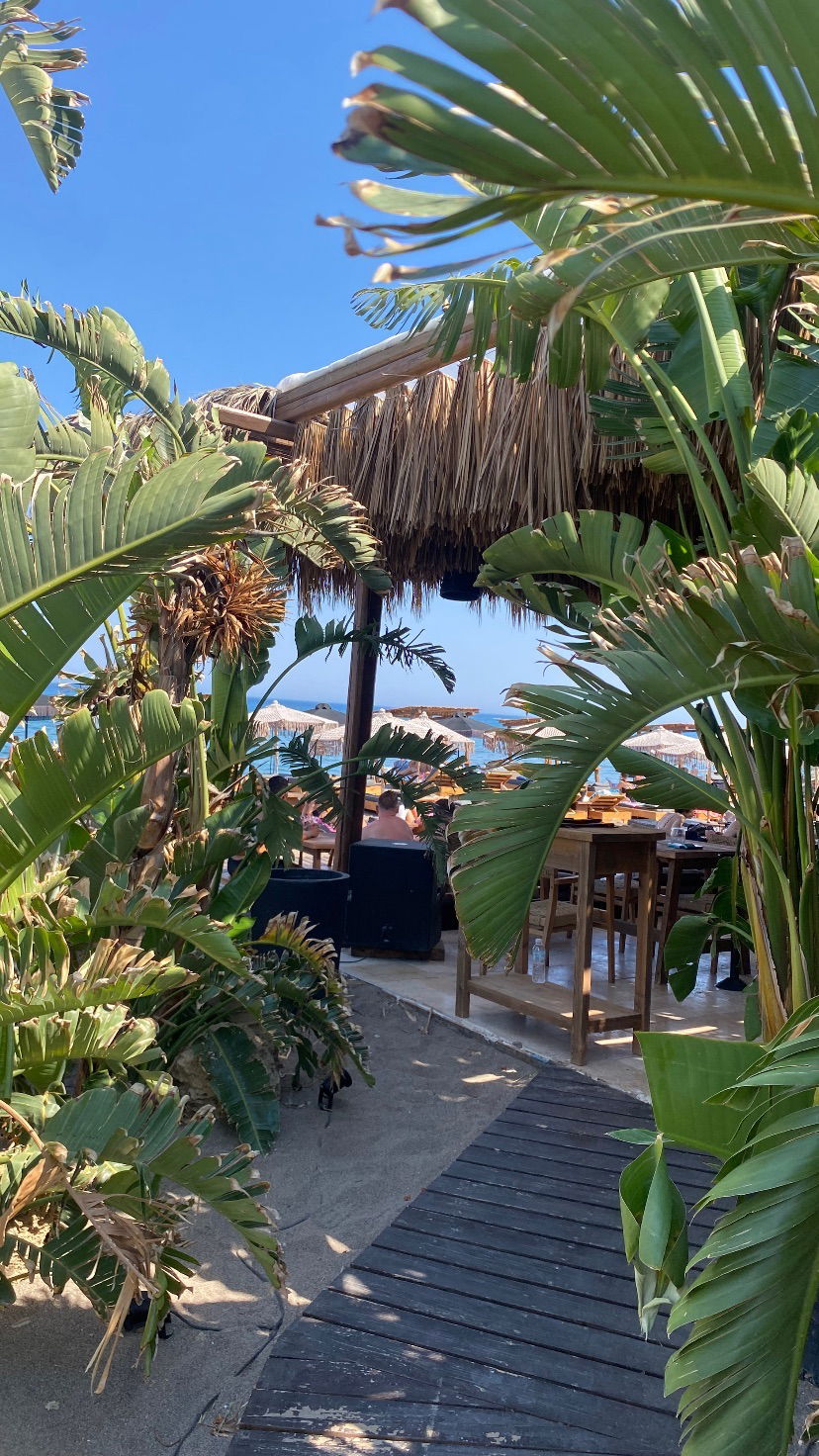 yam_adler instagram image archive image