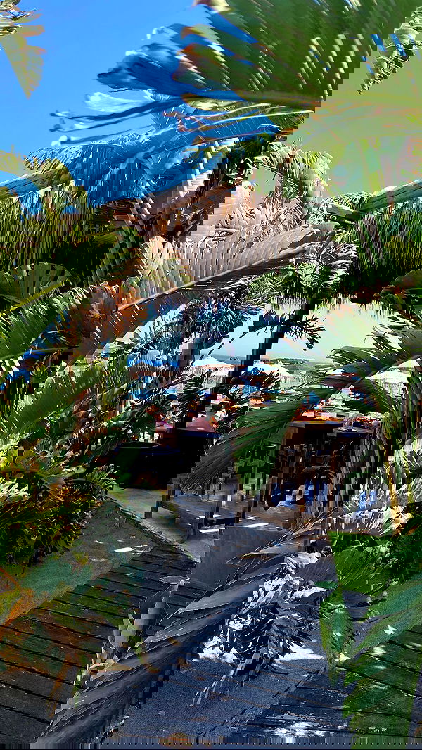 yam_adler image ~ Altpins