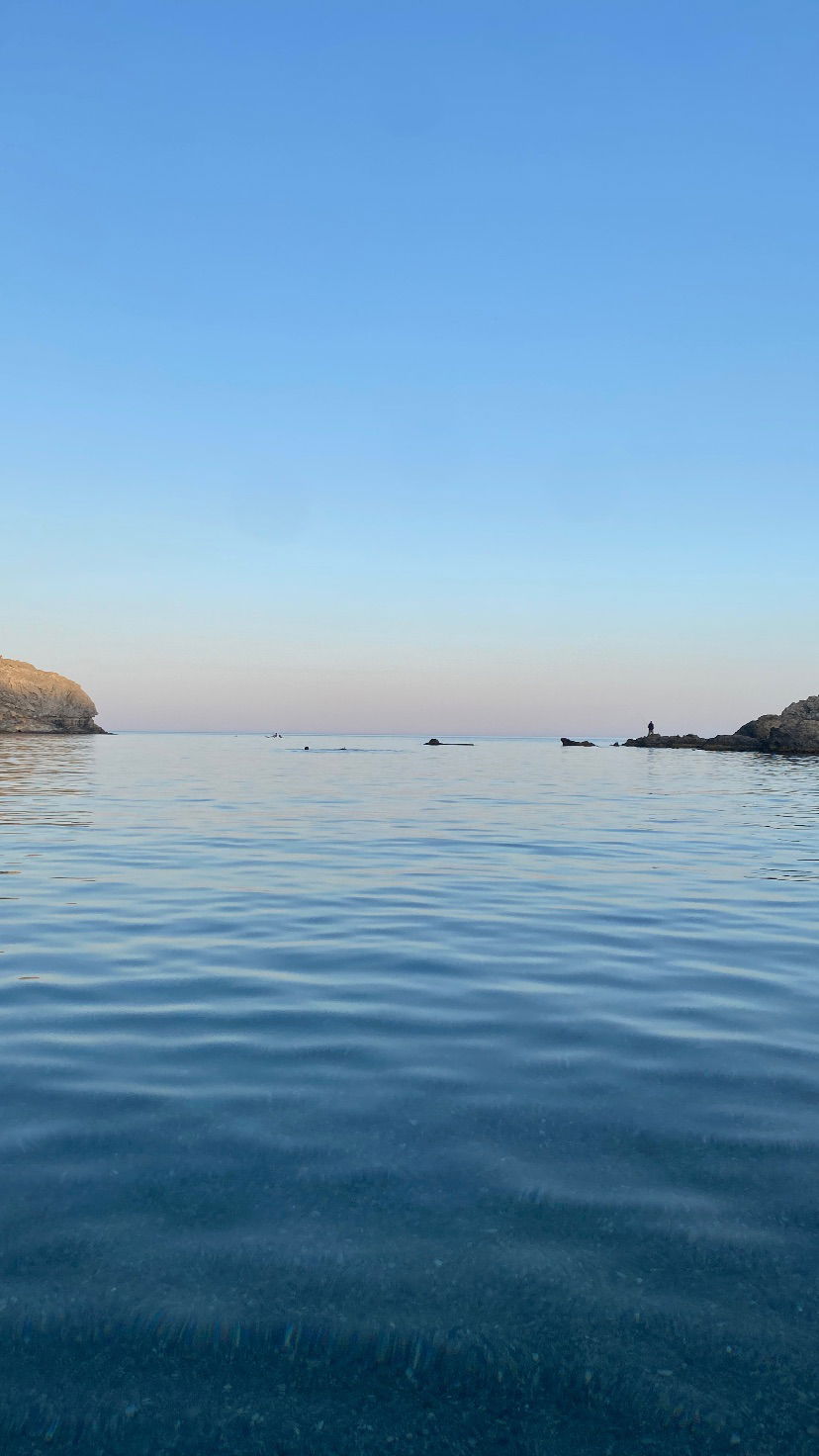 yam_adler instagram image archive image