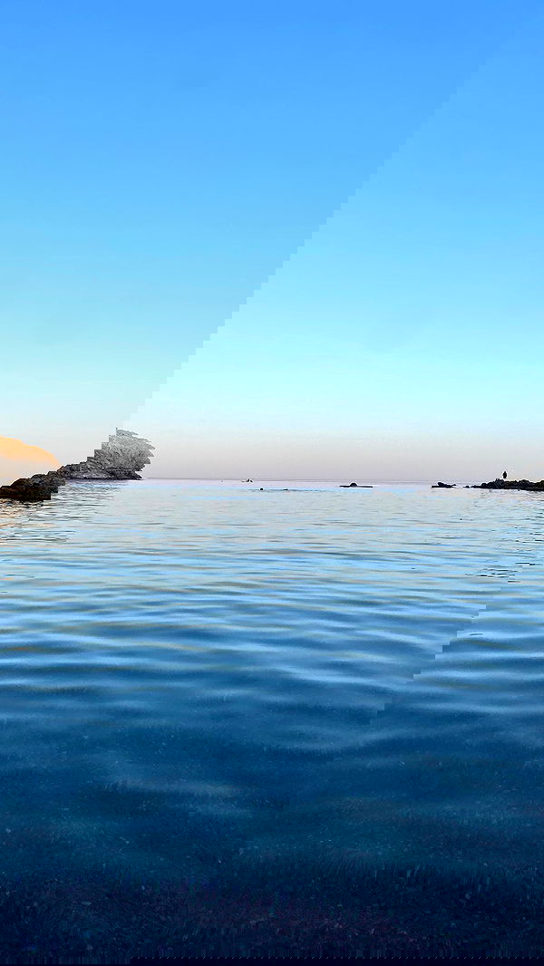 yam_adler image ~ Altpins