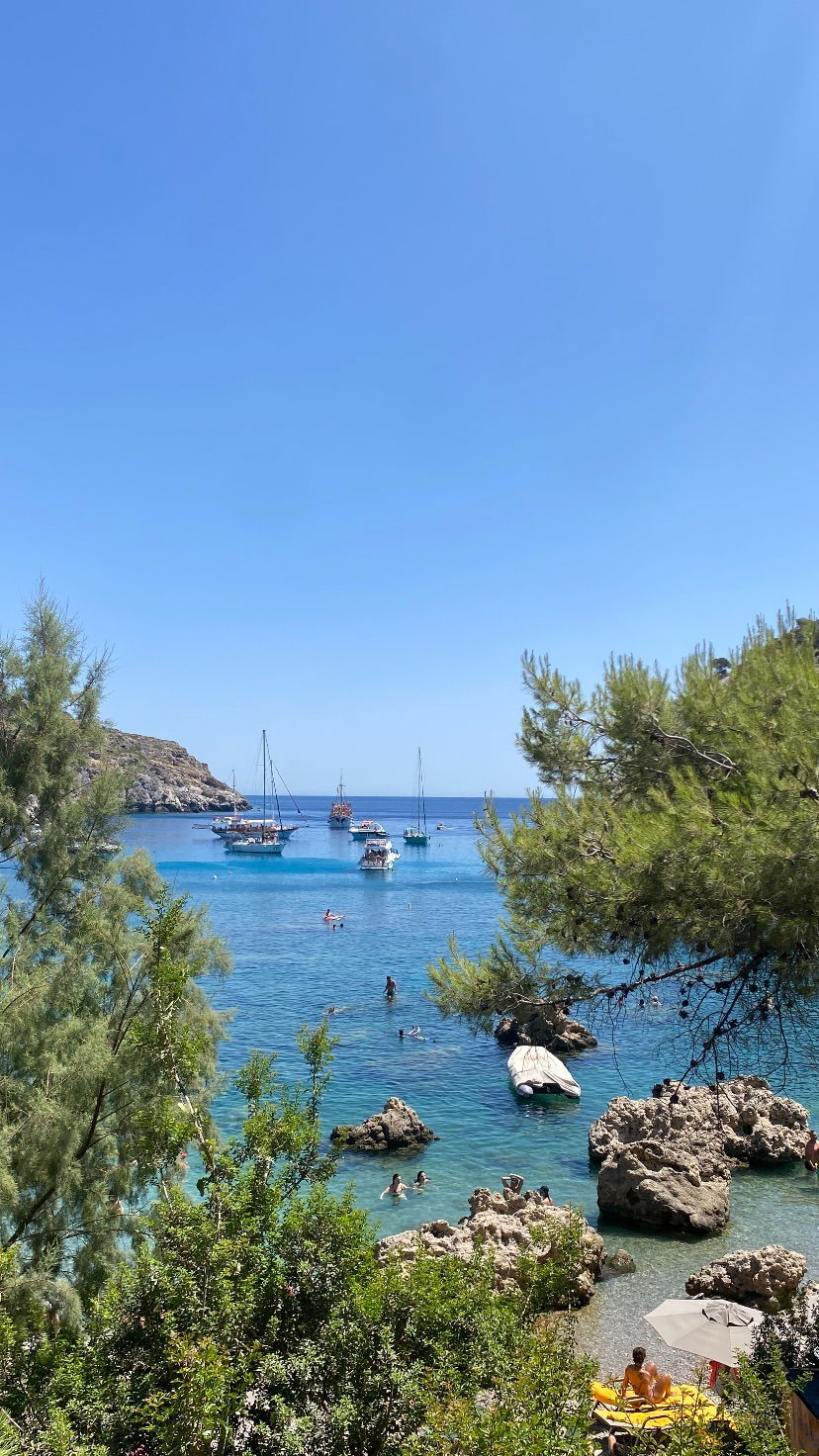 yam_adler instagram image archive image