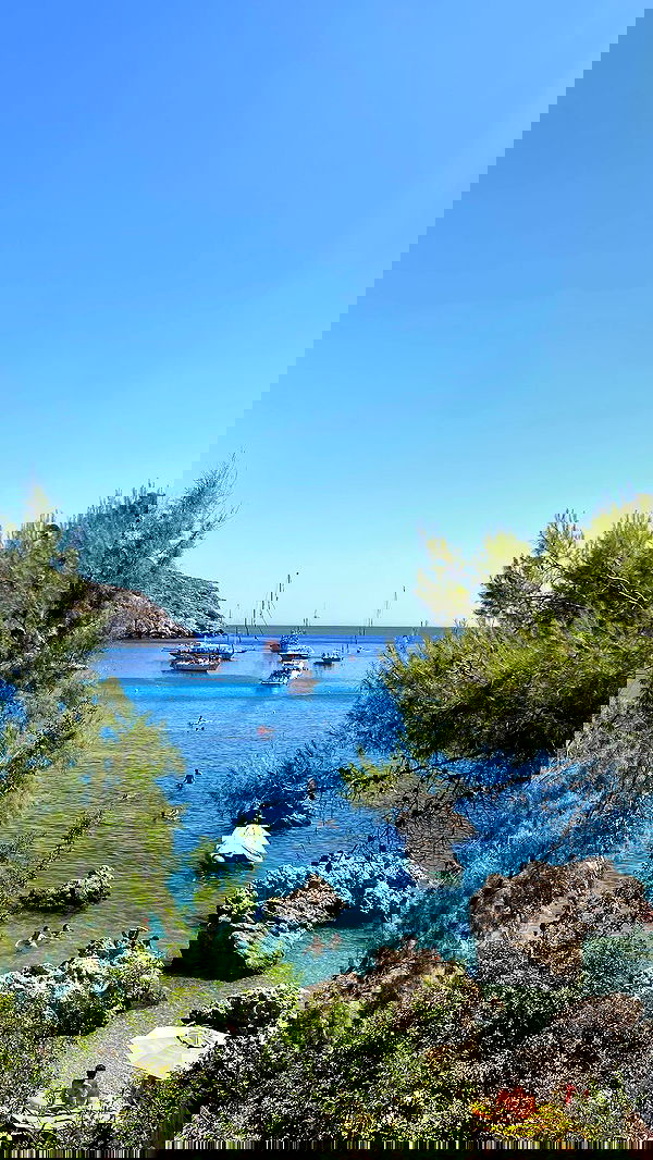 yam_adler image ~ Altpins