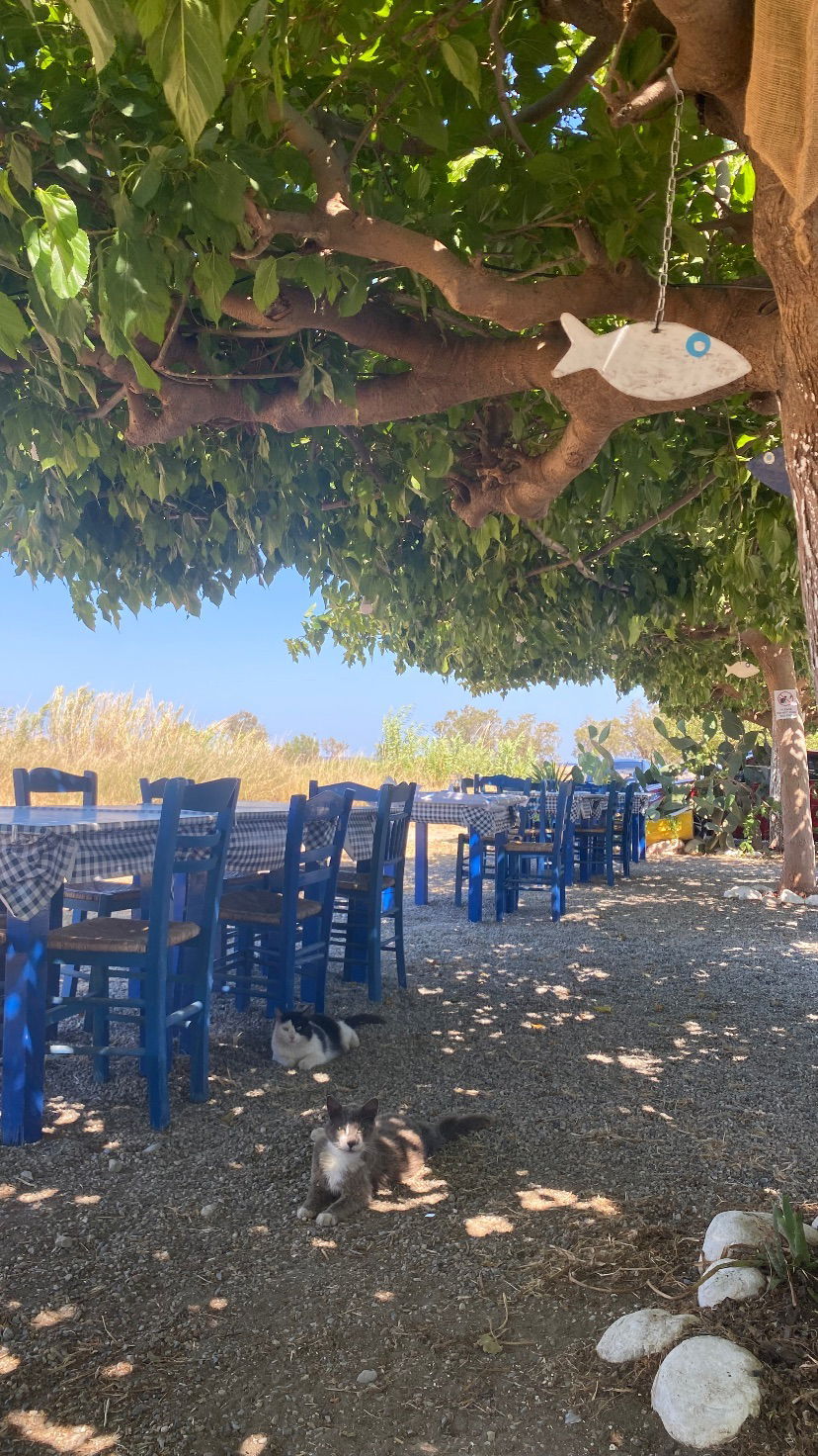 yam_adler instagram image archive image