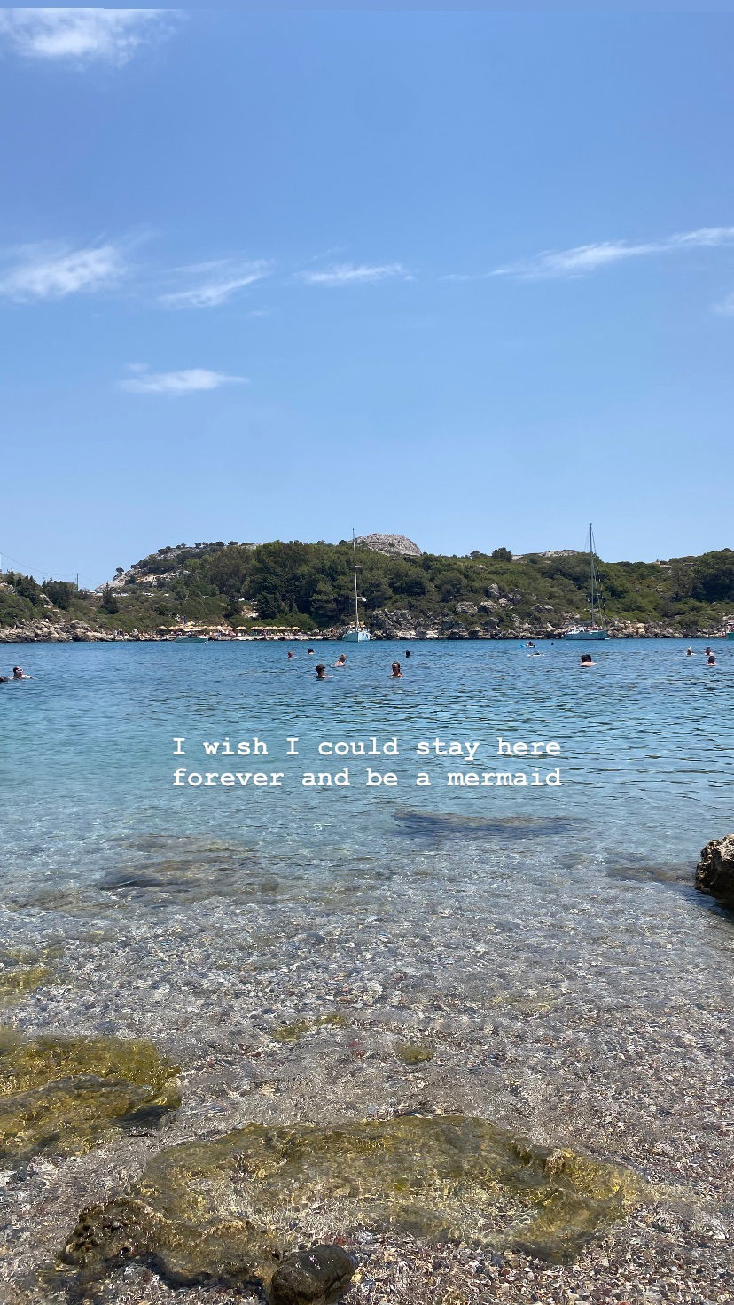 yam_adler instagram image archive image