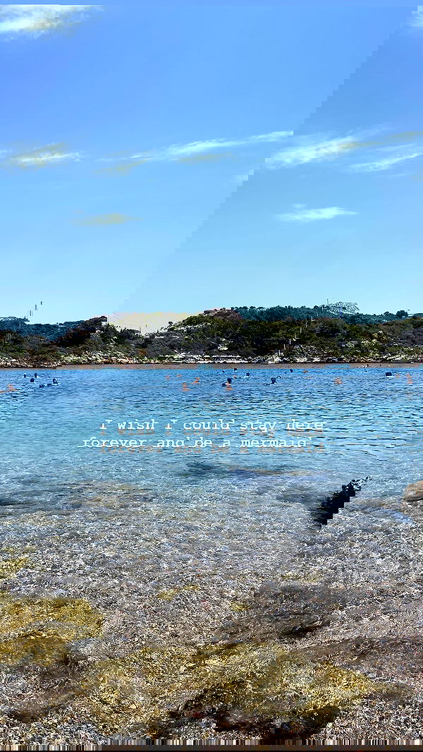 yam_adler image ~ Altpins