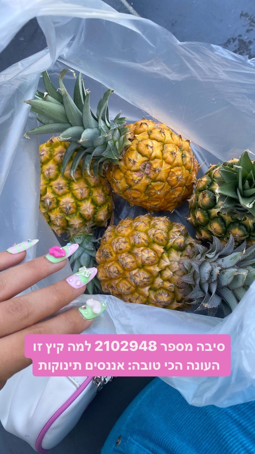 yam_adler instagram image archive image