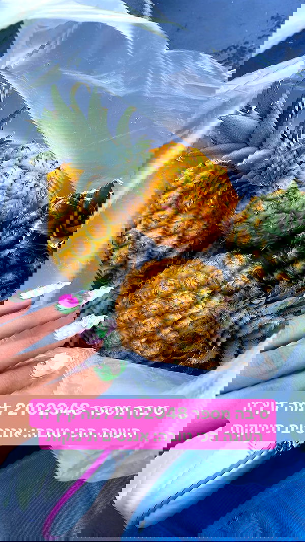 yam_adler image ~ Altpins