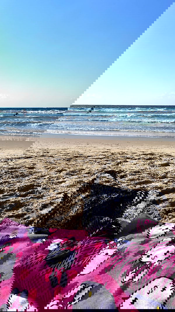 yam_adler image ~ Altpins