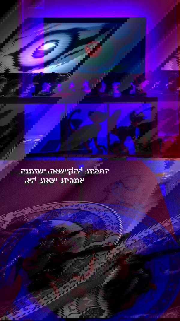 yam_adler image ~ Altpins