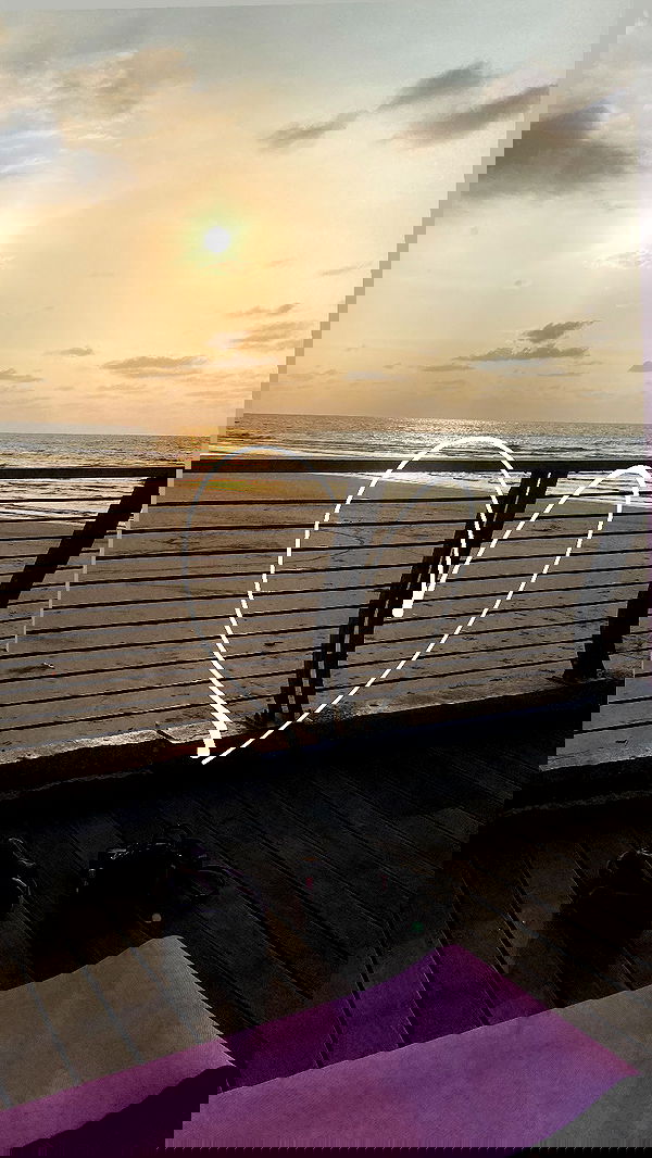 yam_adler image ~ Altpins