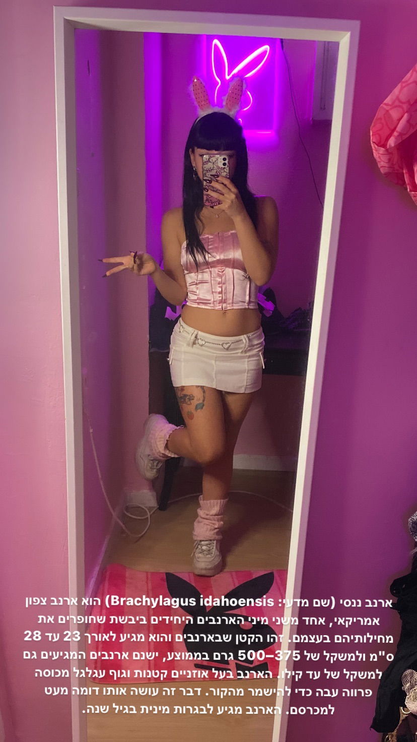 yam_adler instagram image archive image