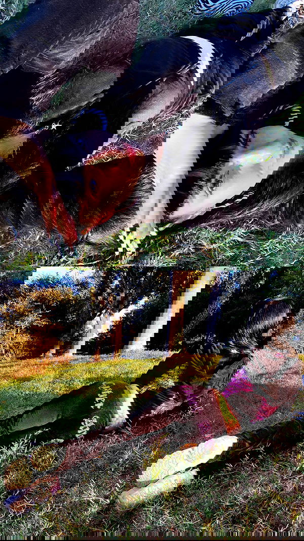 yam_adler image ~ Altpins