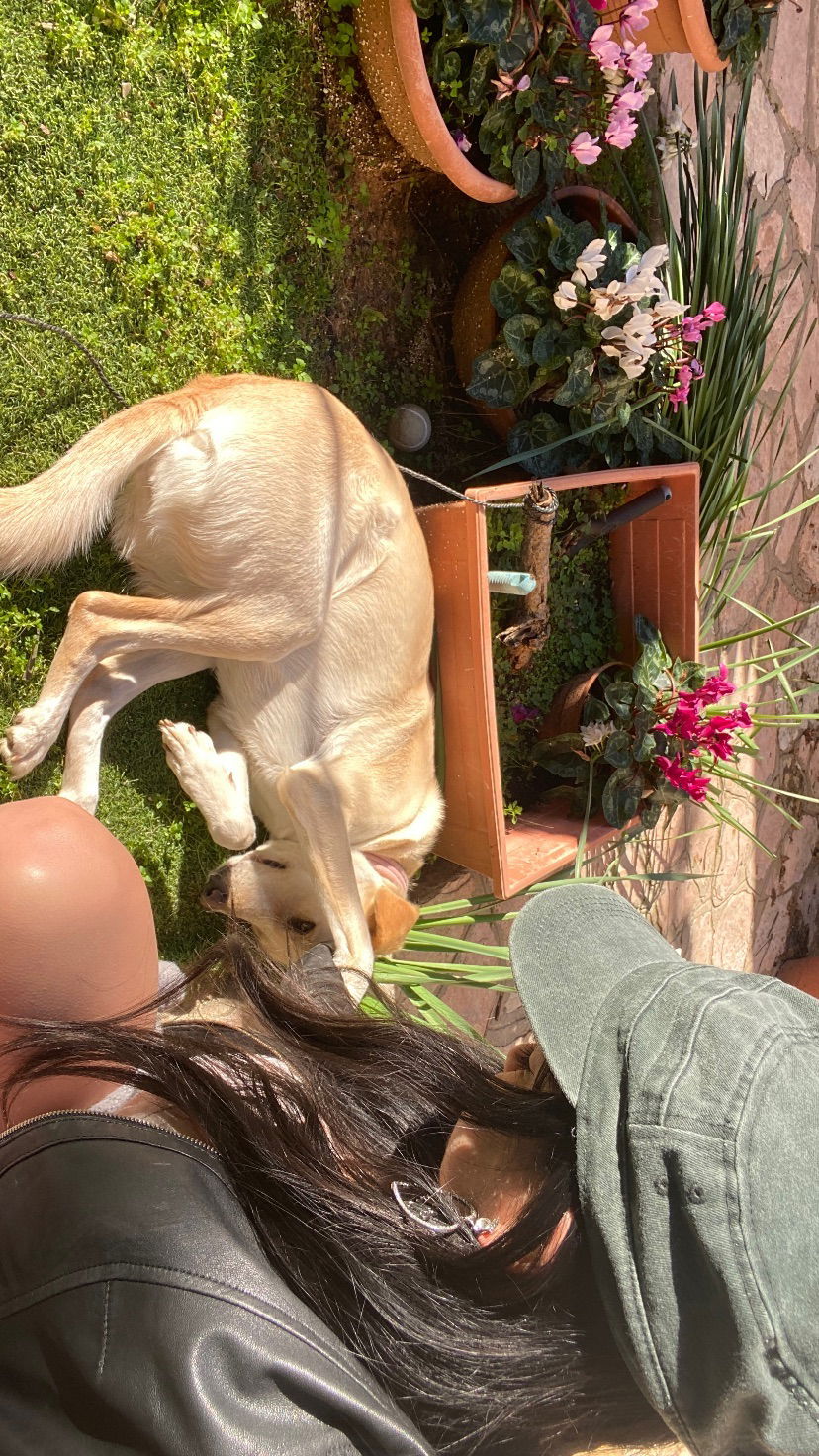 yam_adler instagram image archive image