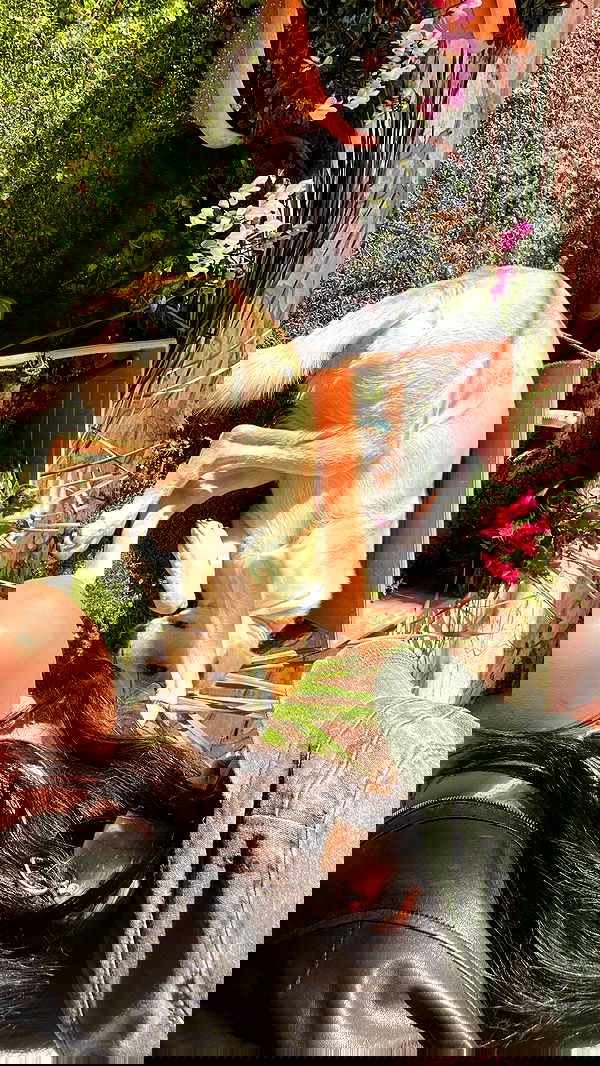 yam_adler image ~ Altpins