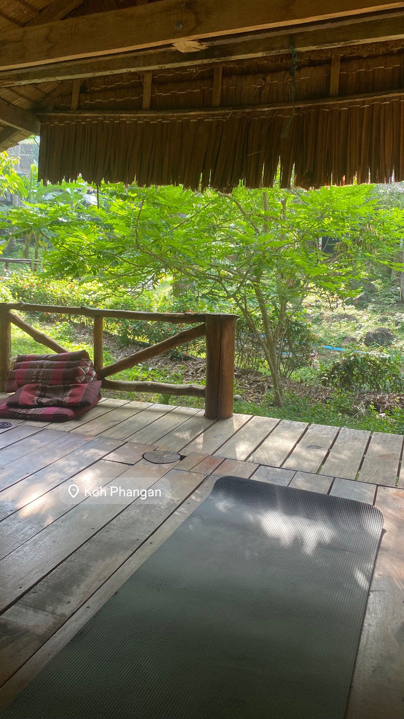 yam_adler instagram image archive image