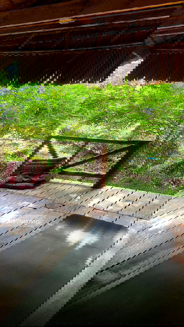 yam_adler image ~ Altpins