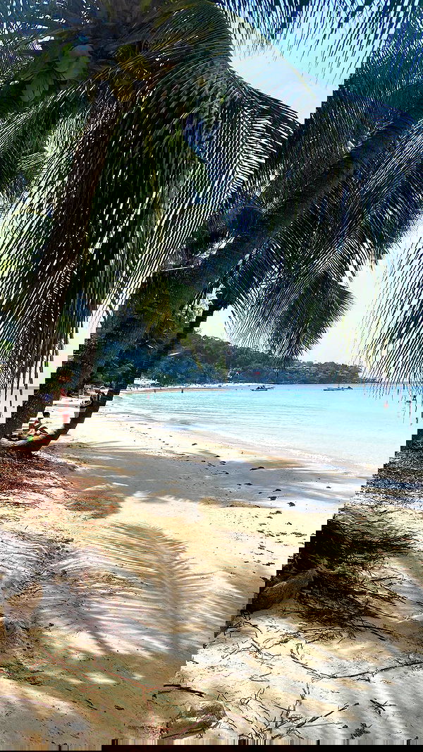 yam_adler image ~ Altpins