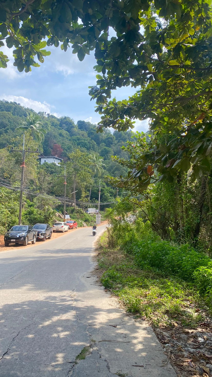 yam_adler instagram image archive image