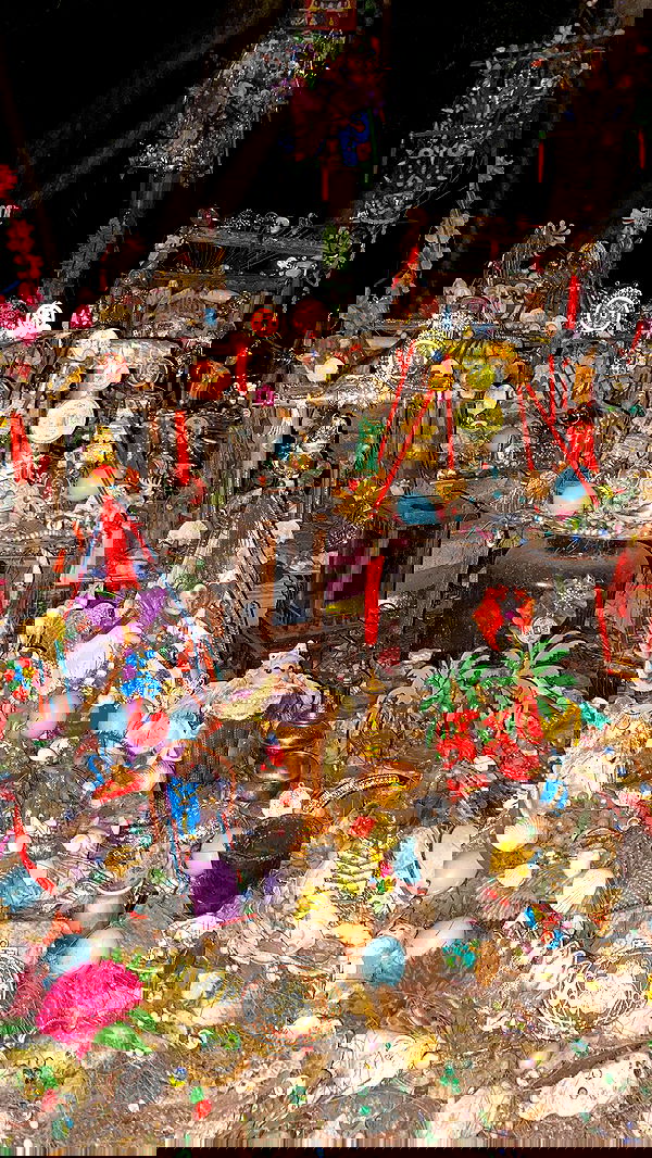 yam_adler image ~ Altpins