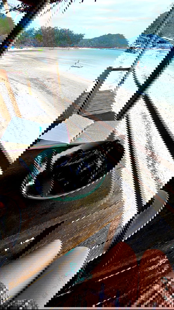 yam_adler image ~ Altpins