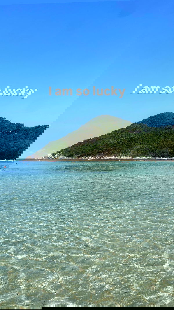 yam_adler image ~ Altpins