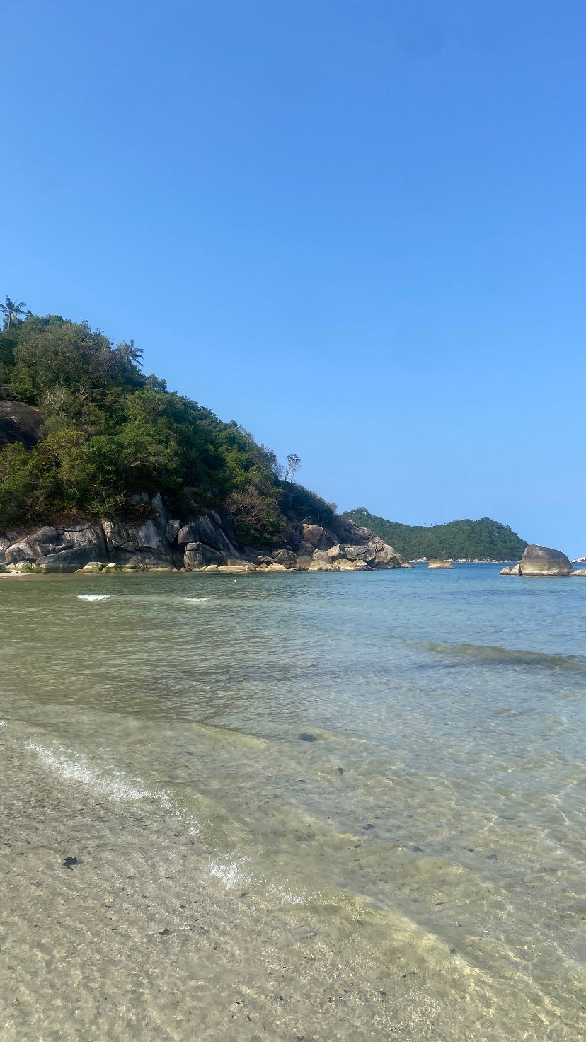 yam_adler instagram image archive image