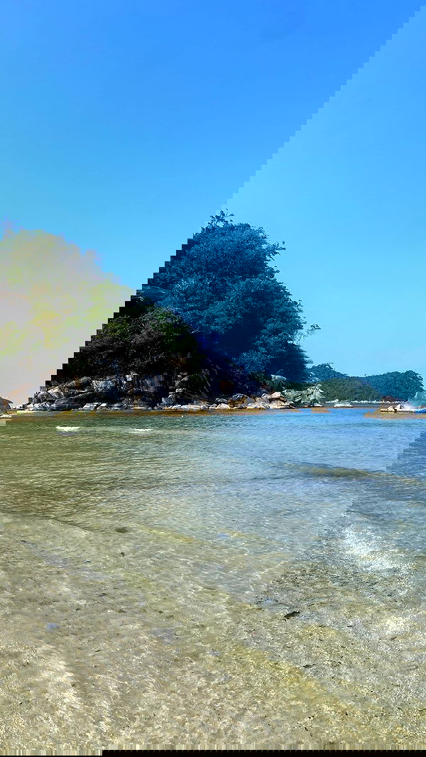 yam_adler image ~ Altpins