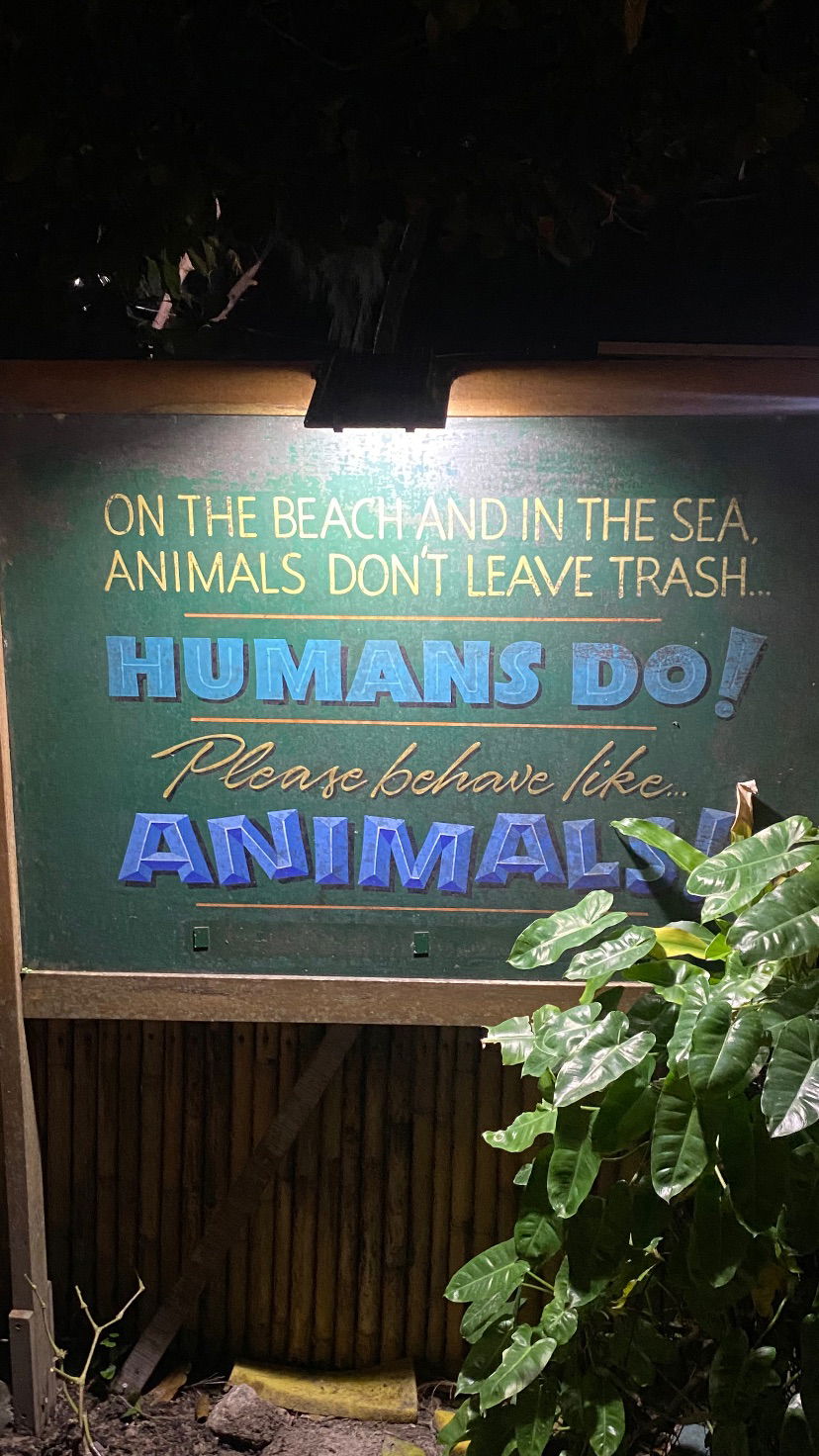 yam_adler instagram image archive image