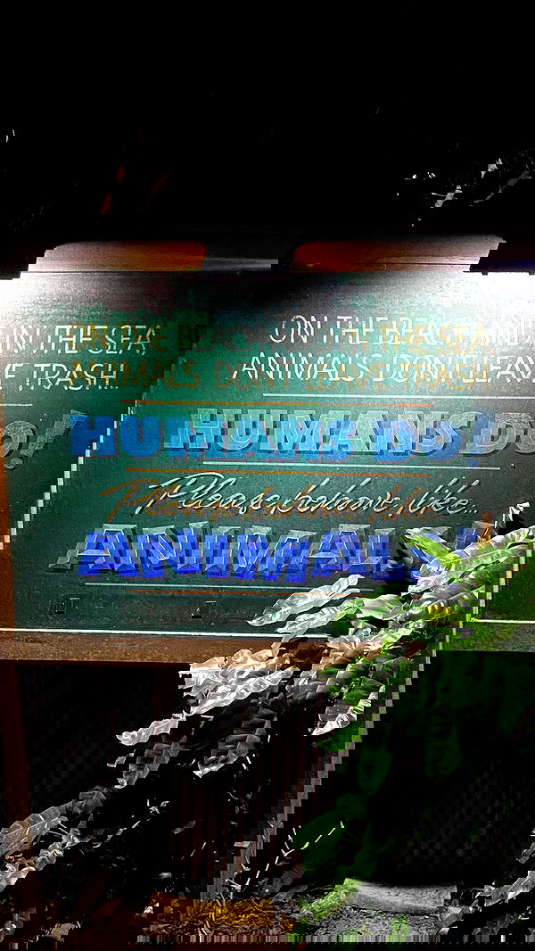 yam_adler image ~ Altpins