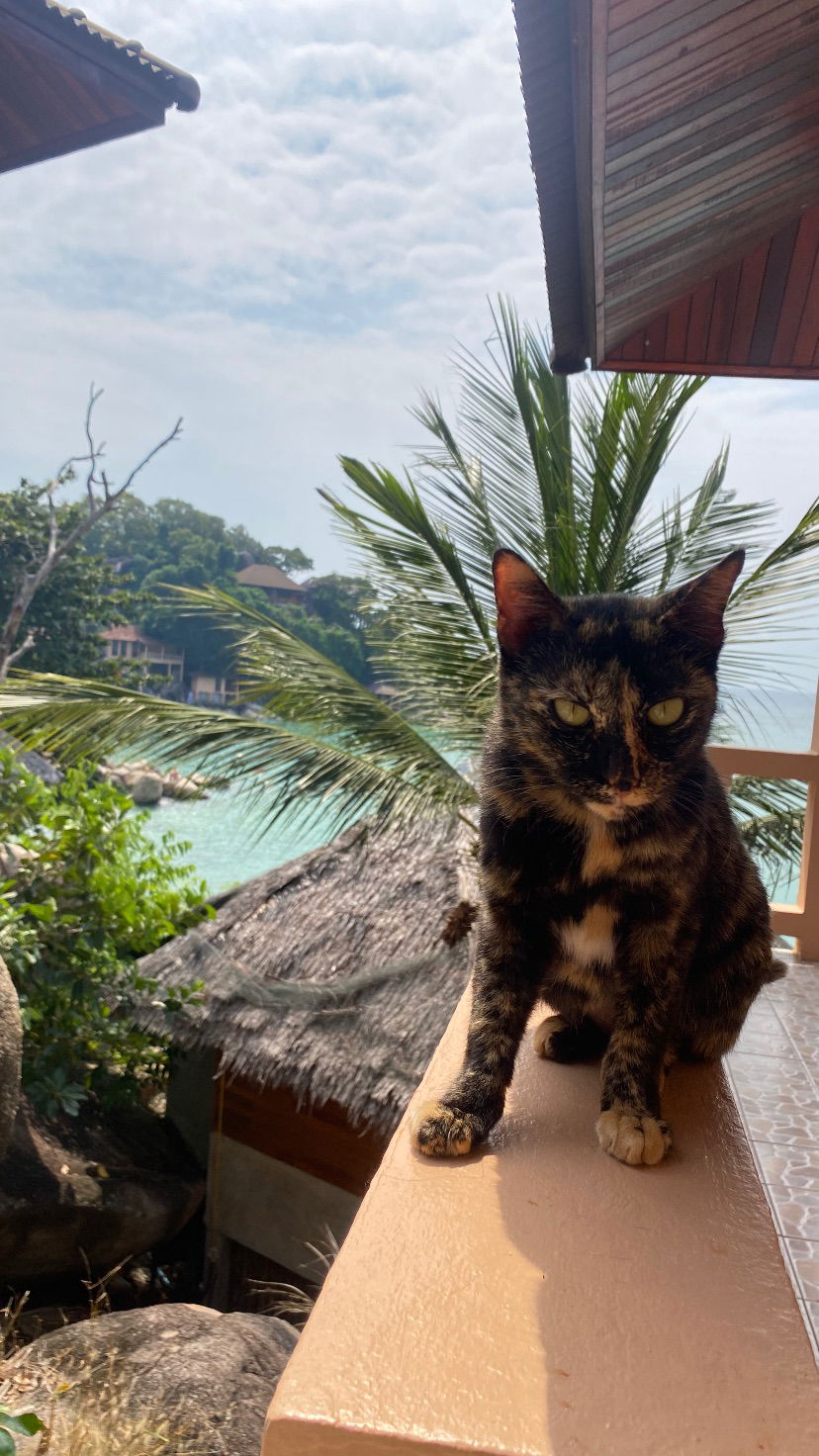 yam_adler instagram image archive image