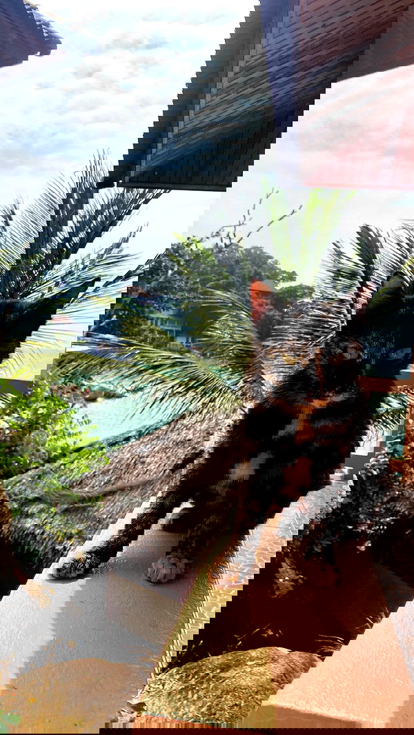 yam_adler image ~ Altpins