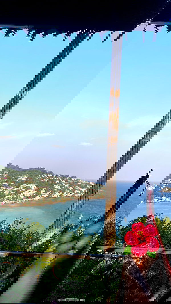 yam_adler image ~ Altpins