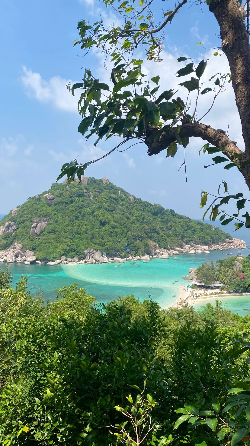 yam_adler instagram image archive image