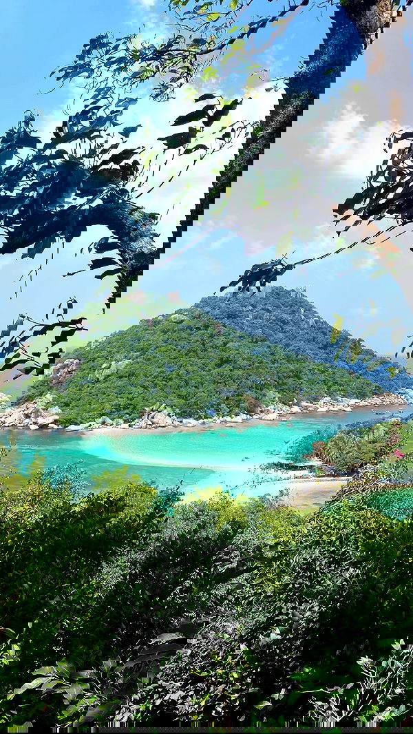 yam_adler image ~ Altpins