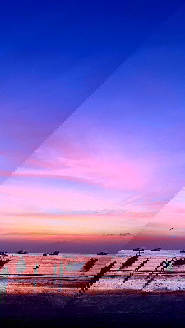 yam_adler image ~ Altpins