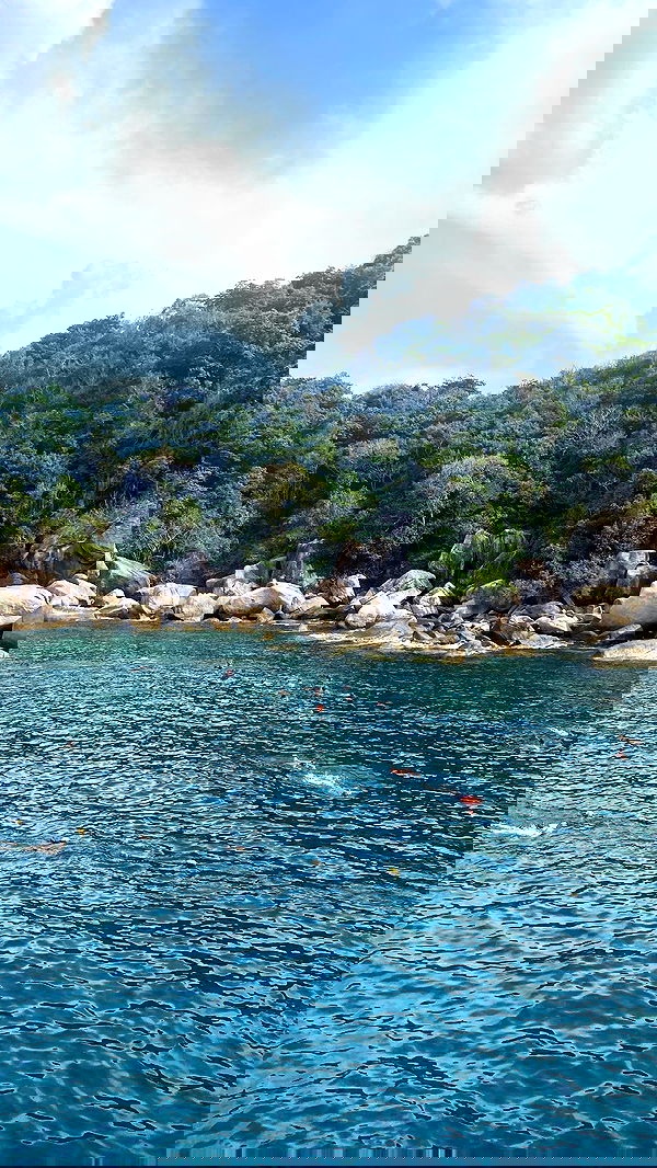 yam_adler image ~ Altpins