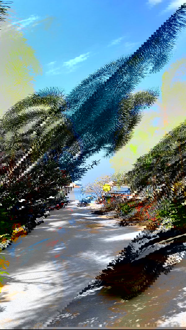 yam_adler image ~ Altpins