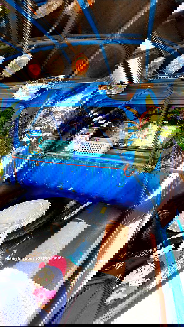 yam_adler image ~ Altpins