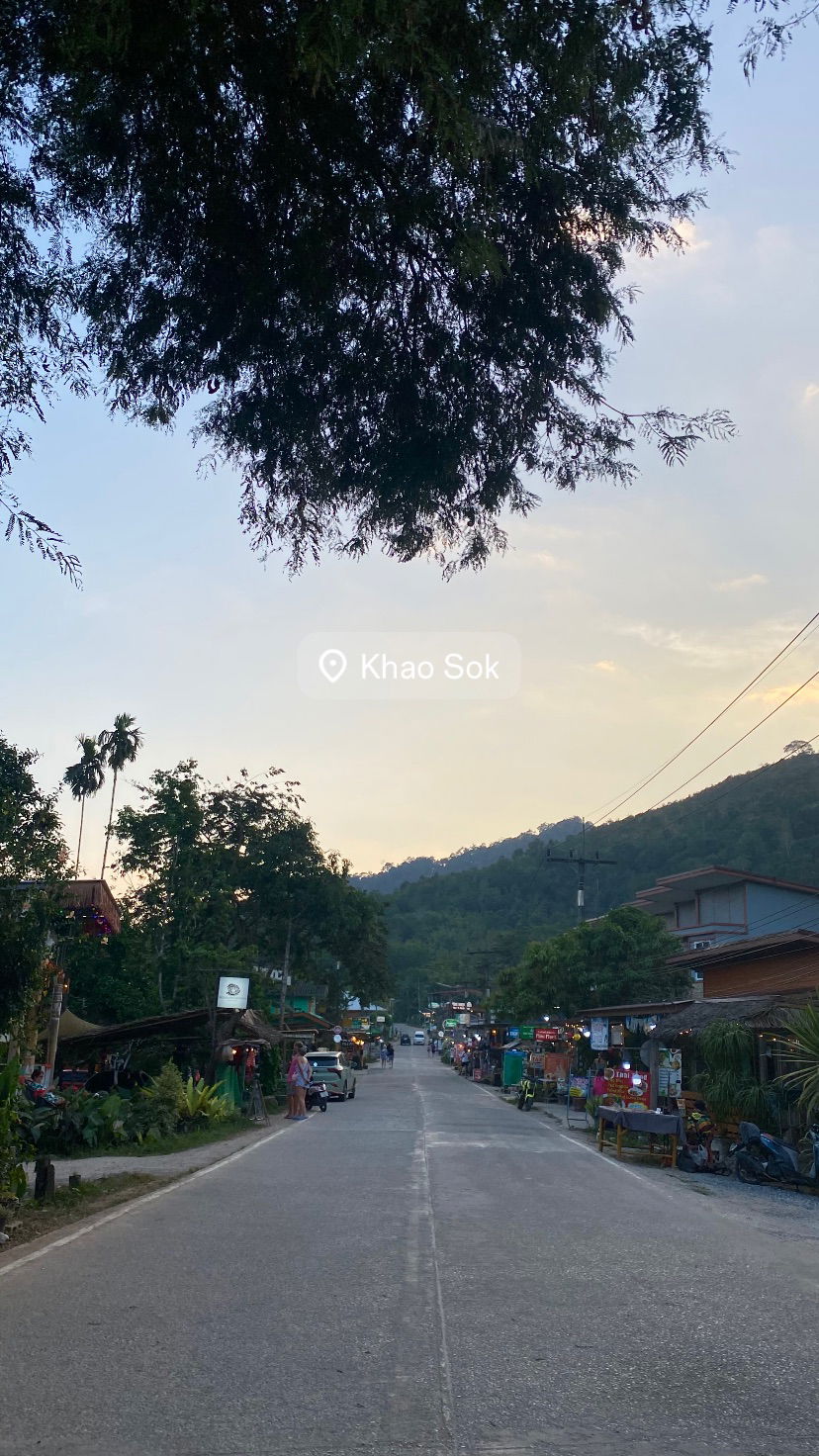 yam_adler instagram image archive image