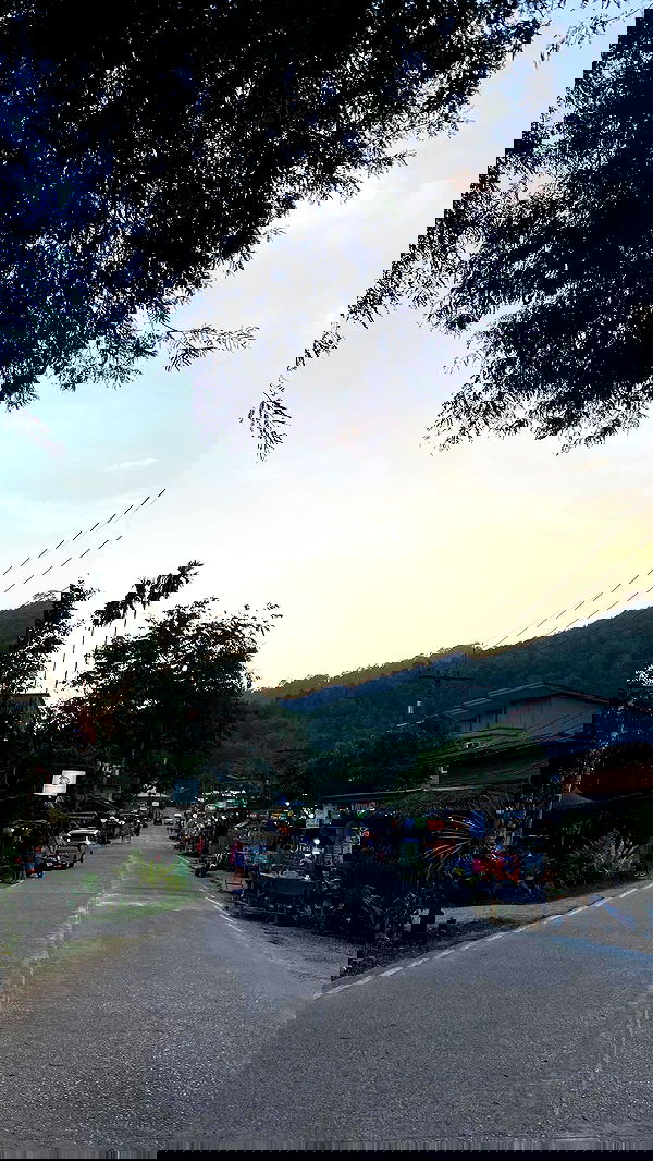 yam_adler image ~ Altpins