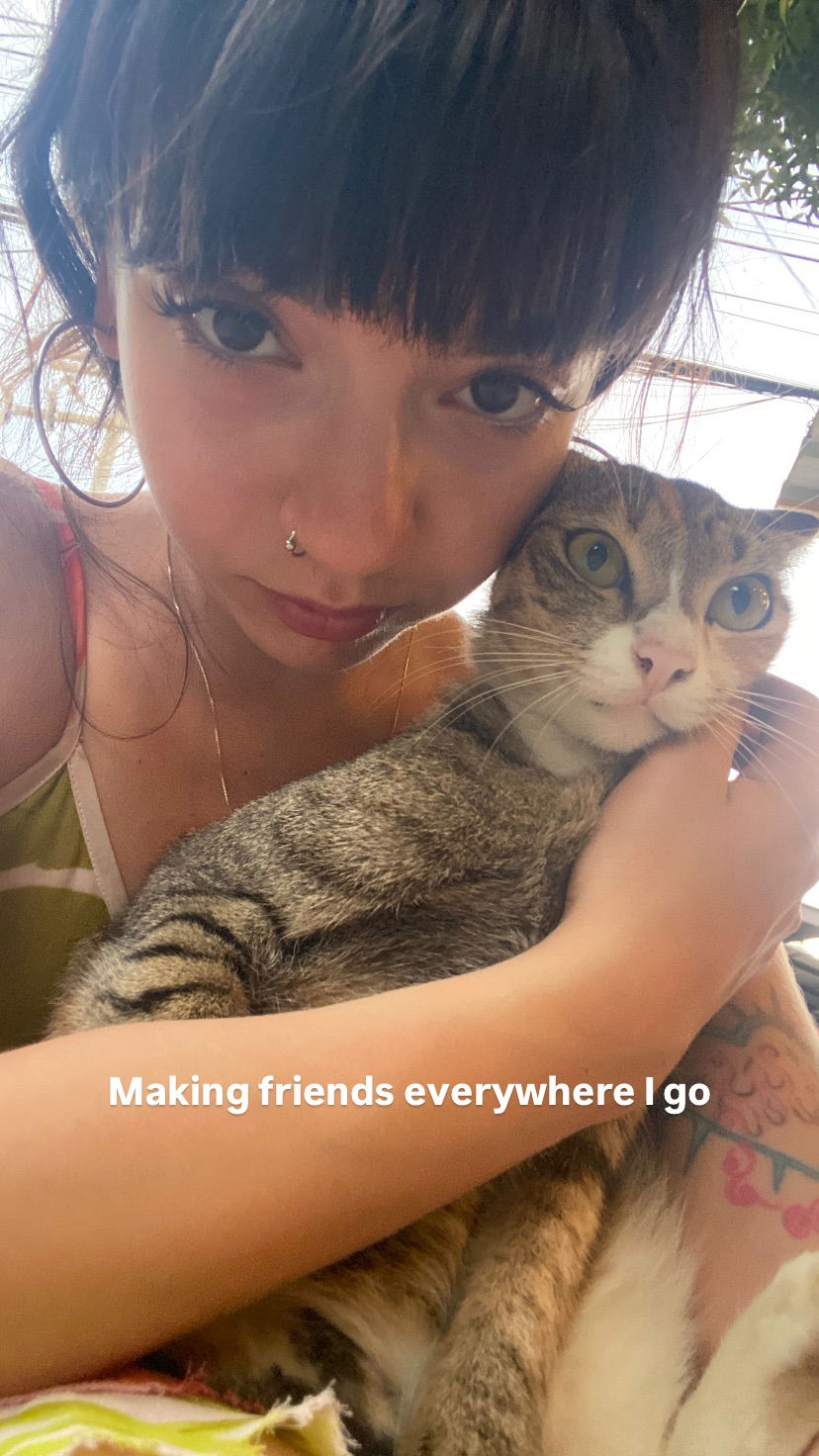 yam_adler instagram image archive image