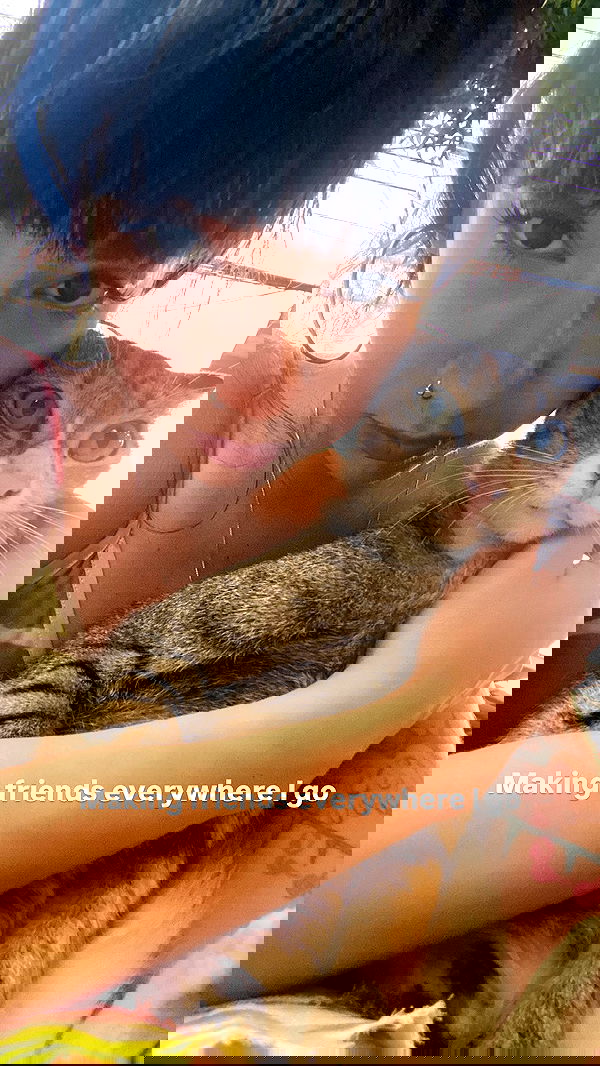 yam_adler image ~ Altpins