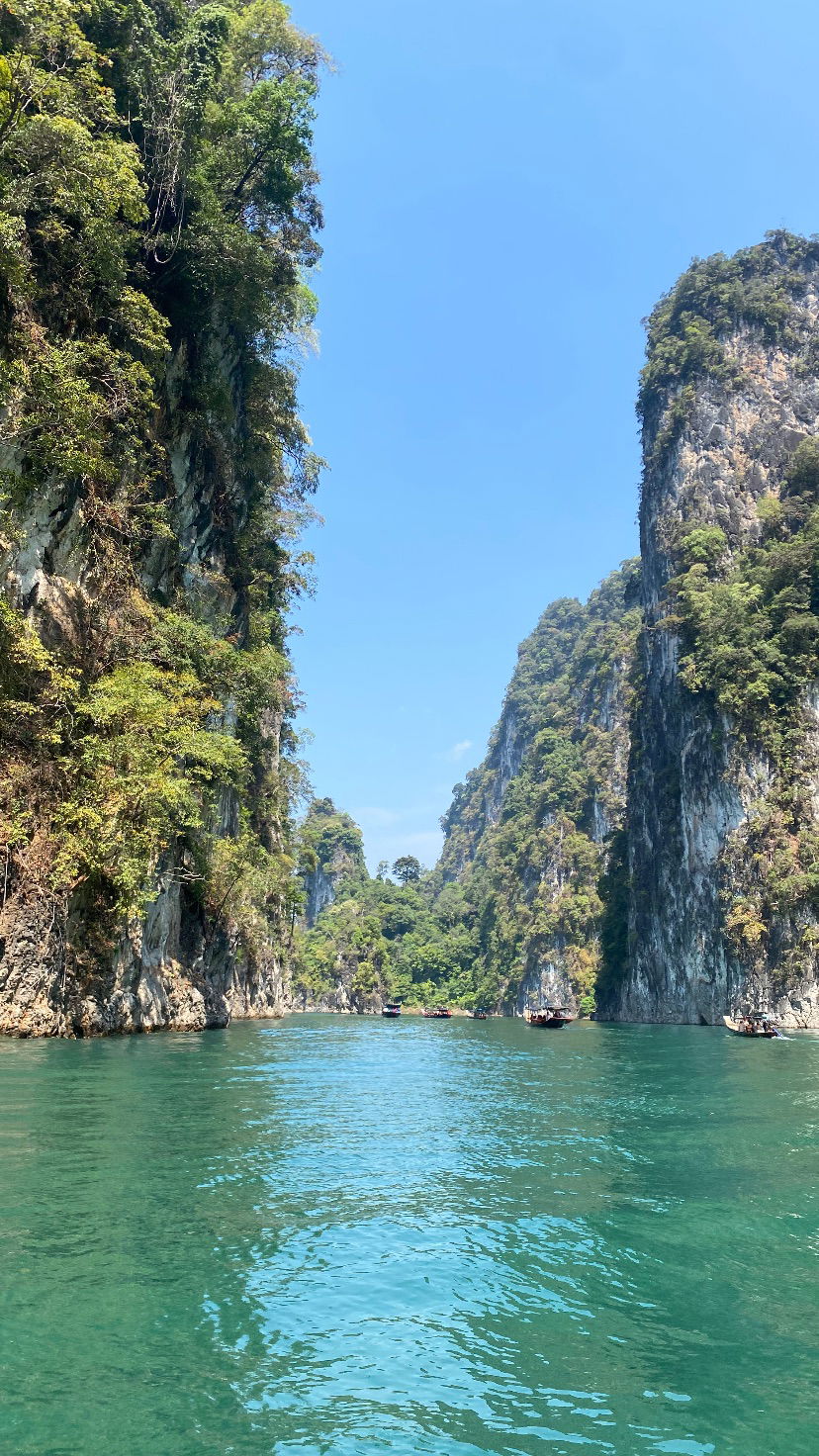 yam_adler instagram image archive image