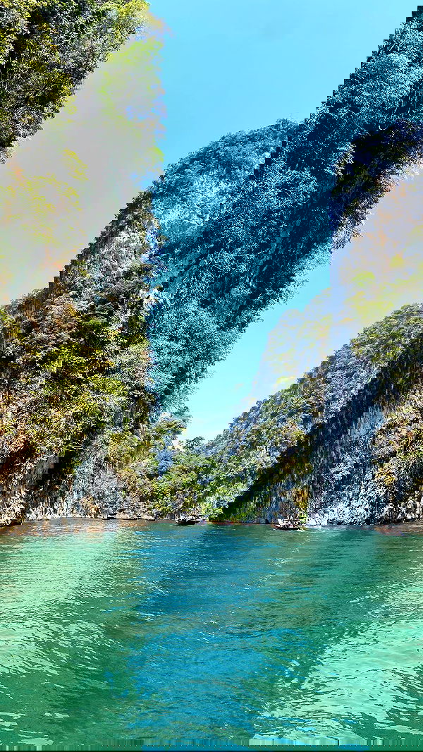 yam_adler image ~ Altpins