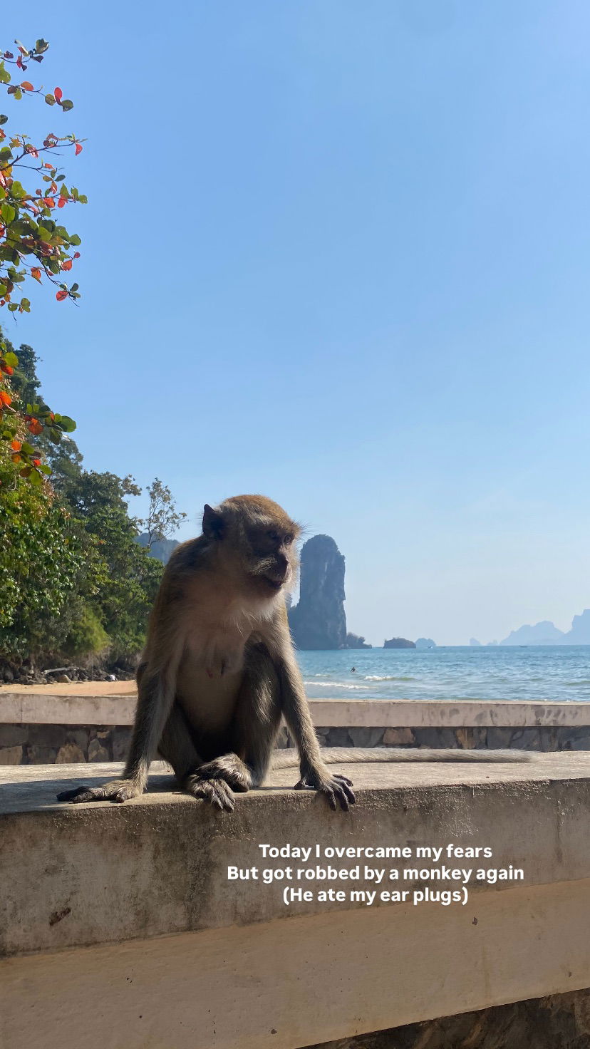 yam_adler instagram image archive image