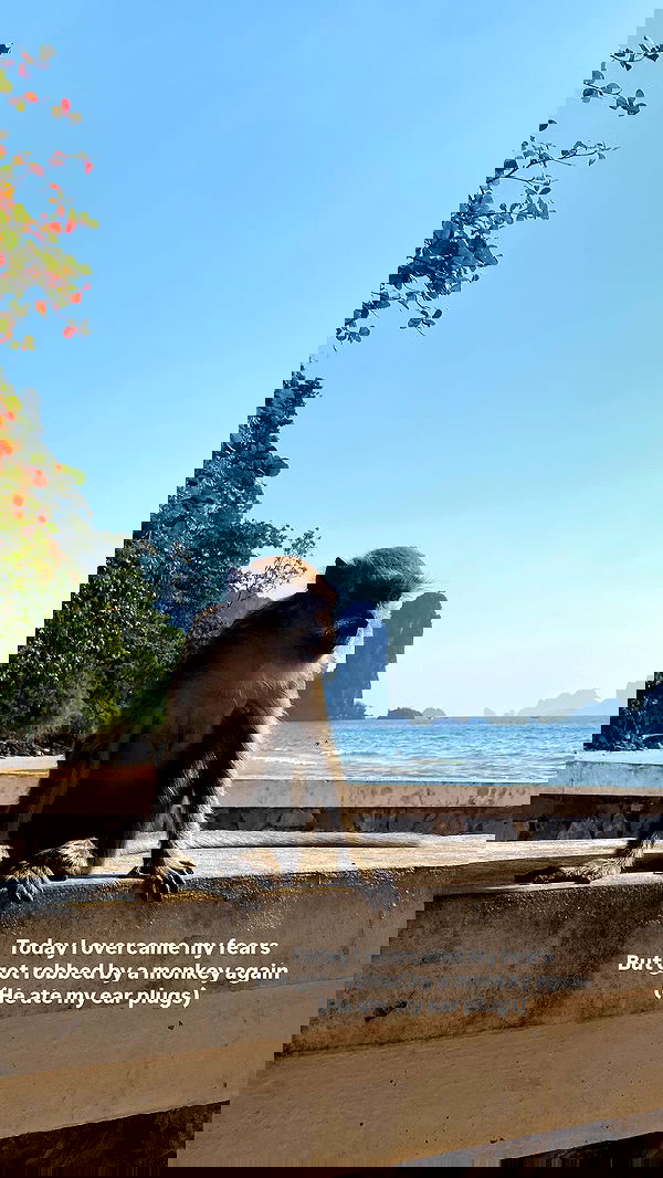 yam_adler image ~ Altpins