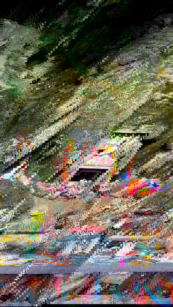 yam_adler image ~ Altpins