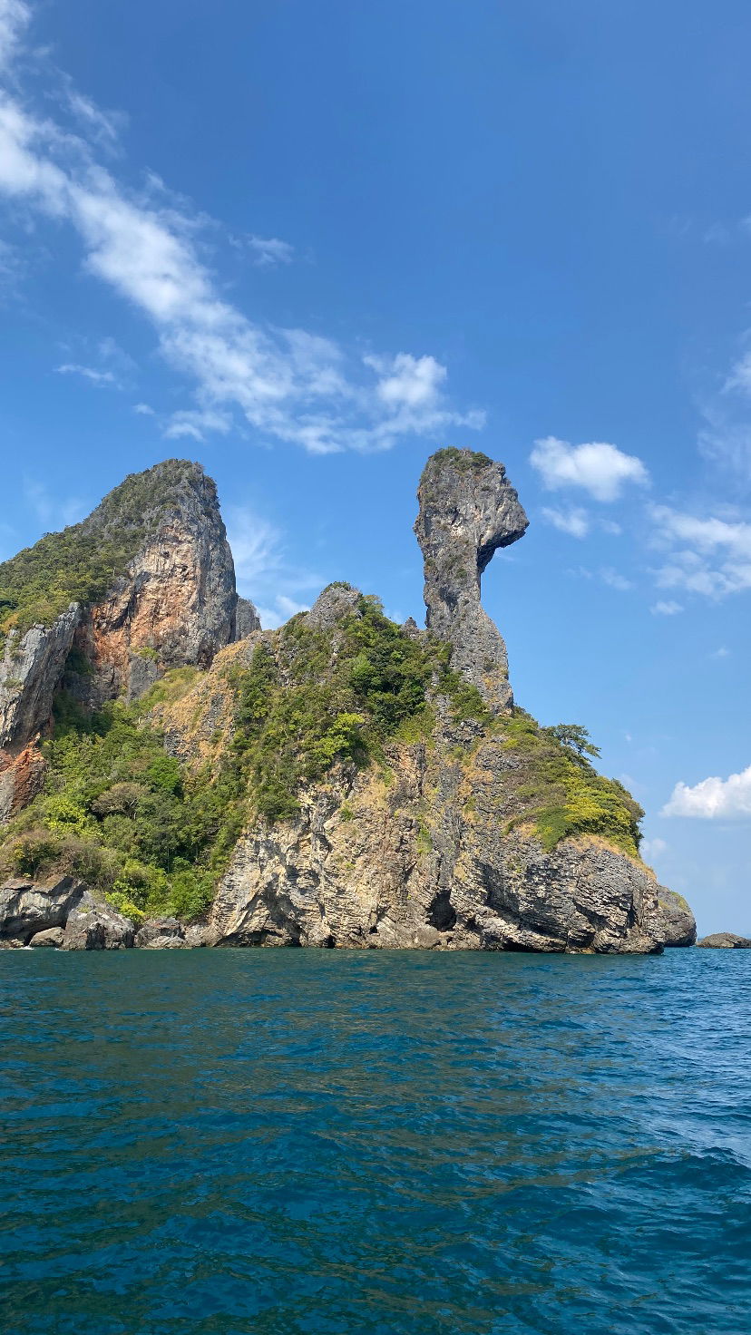 yam_adler instagram image archive image