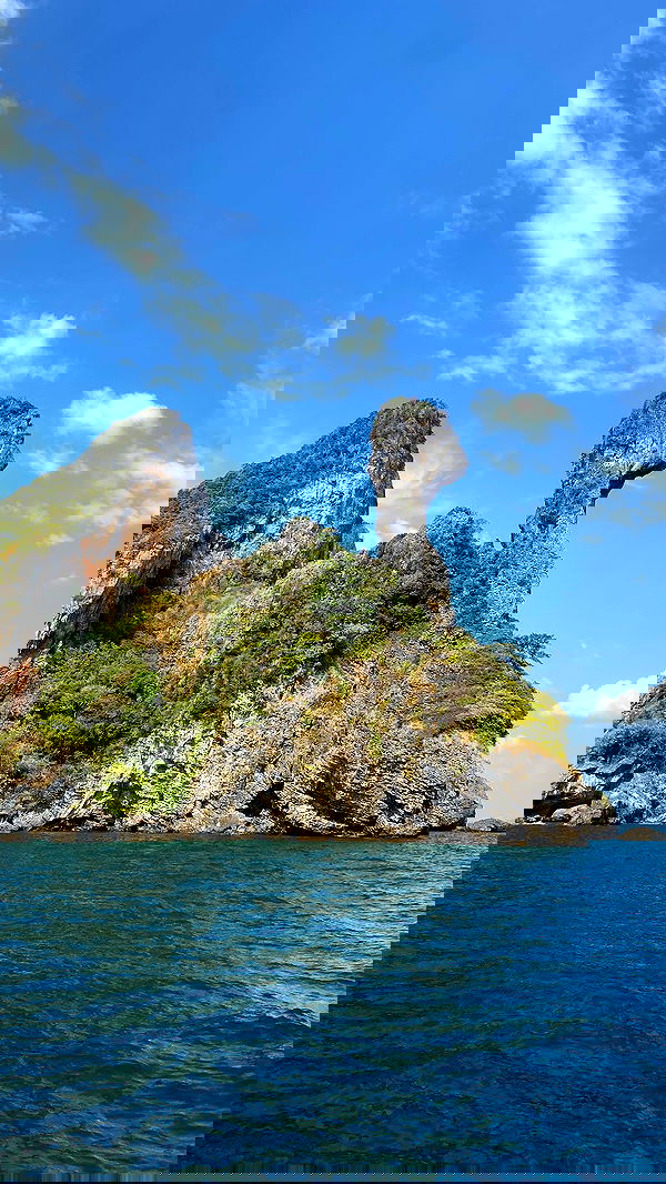 yam_adler image ~ Altpins