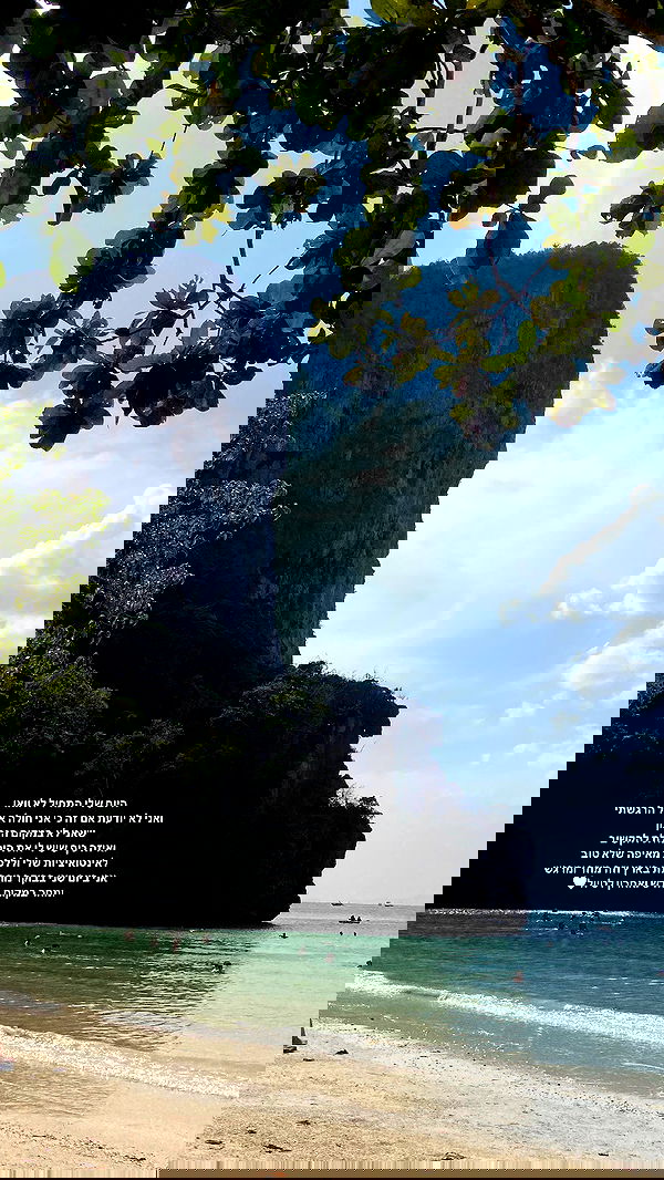 yam_adler image ~ Altpins